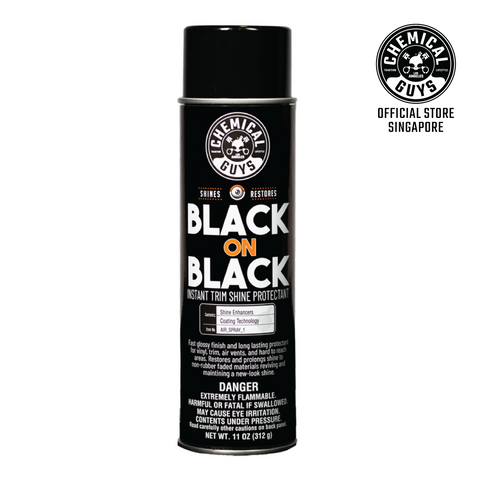 Black on Black Instant Shine 11oz