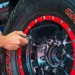 Gerbil Wheel & Rim Brush